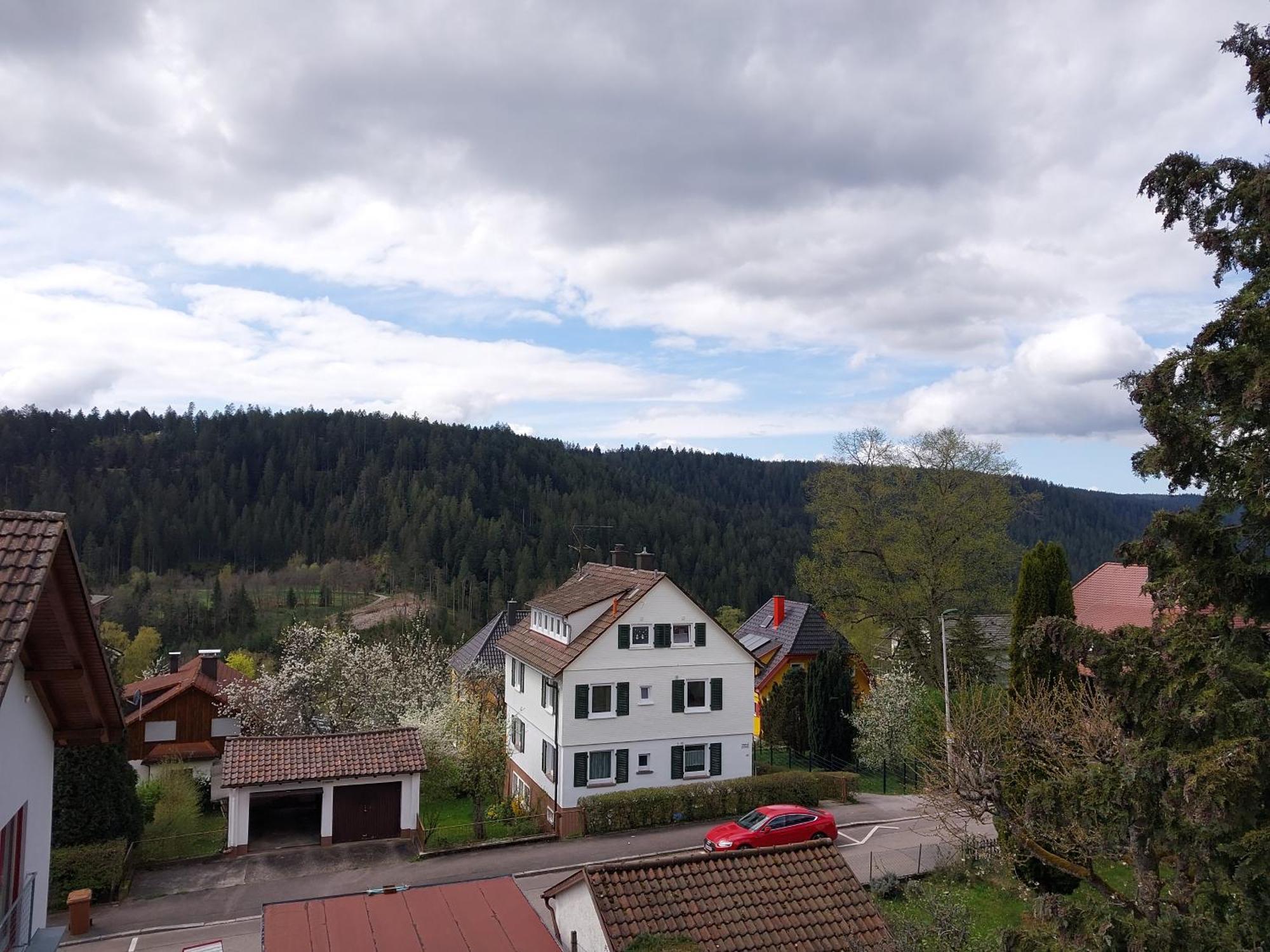 Fewo Salenberg Фройденштадт Экстерьер фото